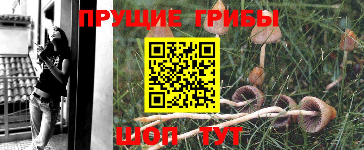 Зима  Галлюциногенные грибы мухоморы  Вход с VPN  Псилоцибиновые грибы Cubensis 